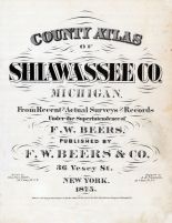 Shiawassee County 1875 